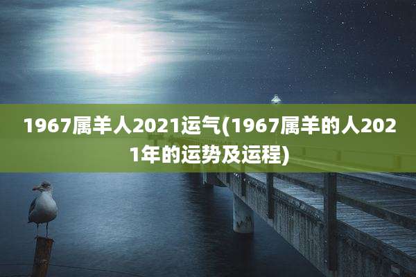 1967属羊人2021运气(1967属羊的人2021年的运势及运程)