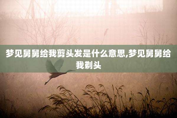 梦见舅舅给我剪头发是什么意思,梦见舅舅给我剃头