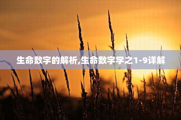 生命数字的解析,生命数字学之1-9详解