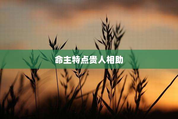 命主特点贵人相助