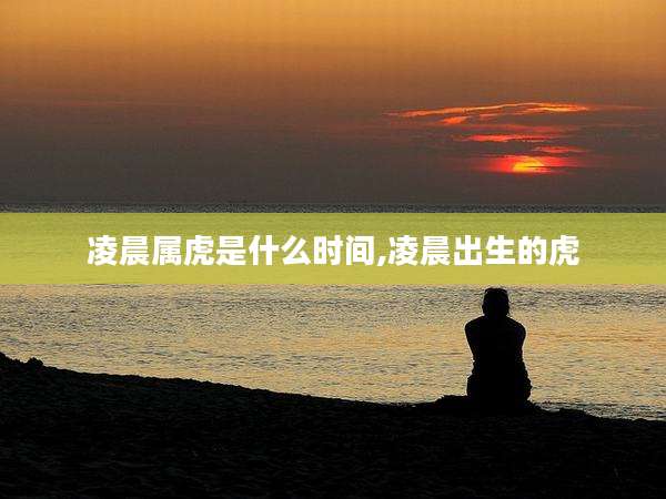 凌晨属虎是什么时间,凌晨出生的虎