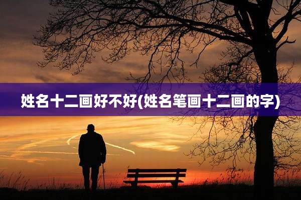 姓名十二画好不好(姓名笔画十二画的字)
