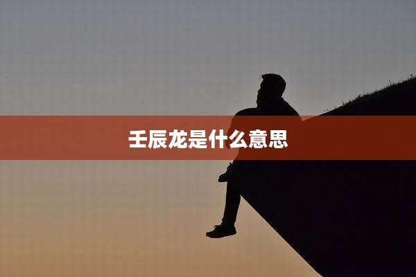壬辰龙是什么意思