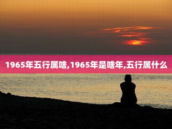 1965年五行属啥,1965年是啥年,五行属什么