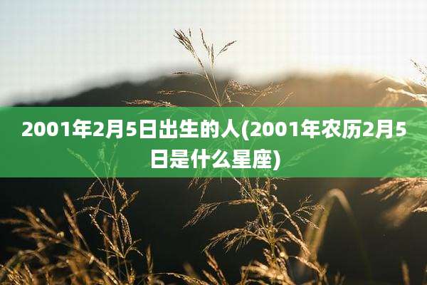 2001年2月5日出生的人(2001年农历2月5日是什么星座)