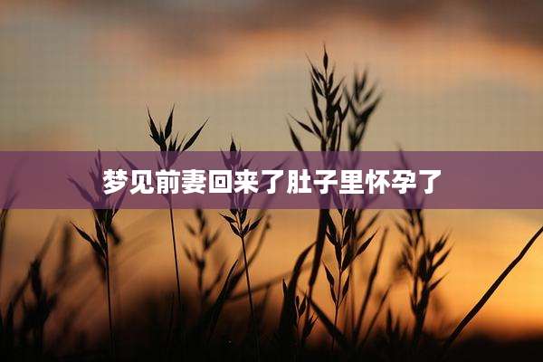 梦见前妻回来了肚子里怀孕了