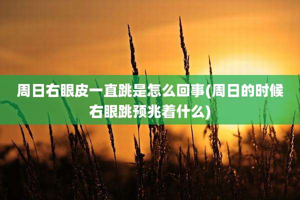 周日右眼皮一直跳是怎么回事(周日的时候右眼跳预兆着什么)