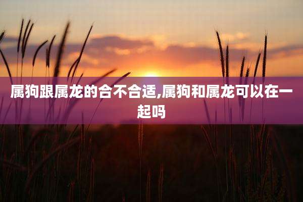 属狗跟属龙的合不合适,属狗和属龙可以在一起吗