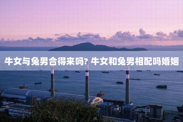 牛女与兔男合得来吗? 牛女和兔男相配吗婚姻