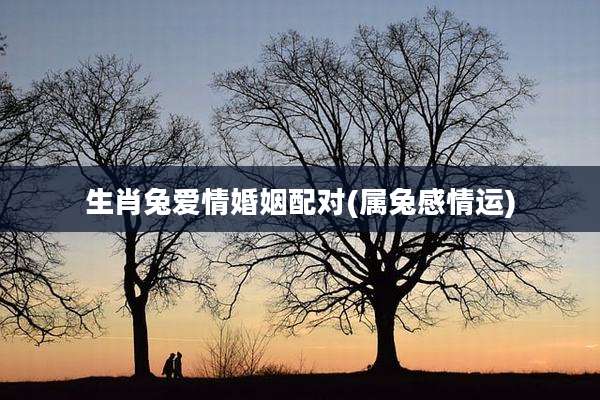 生肖兔爱情婚姻配对(属兔感情运)