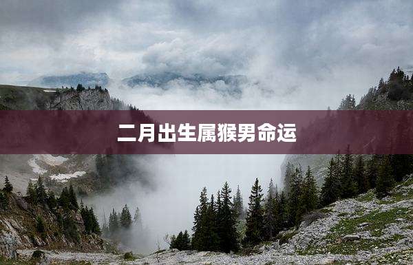 二月出生属猴男命运