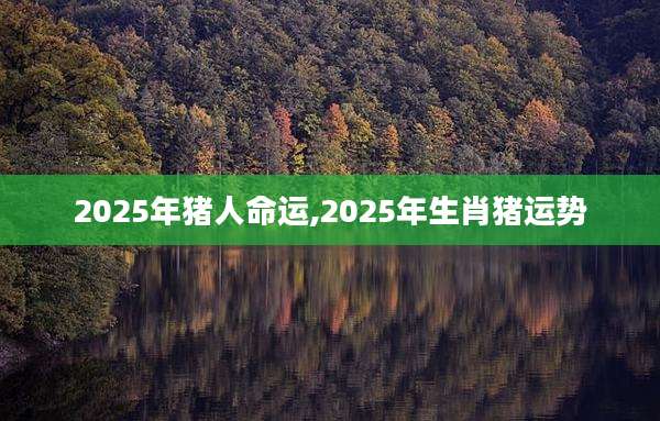 2025年猪人命运,2025年生肖猪运势