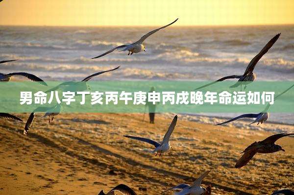 男命八字丁亥丙午庚申丙戌晚年命运如何