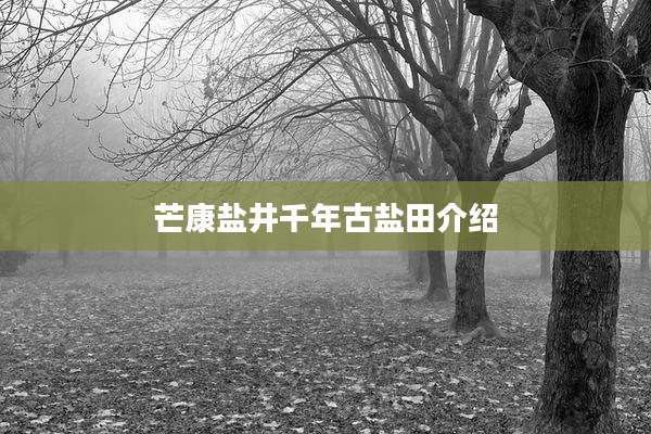 芒康盐井千年古盐田介绍