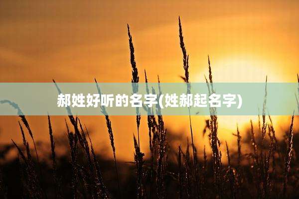 郝姓好听的名字(姓郝起名字)
