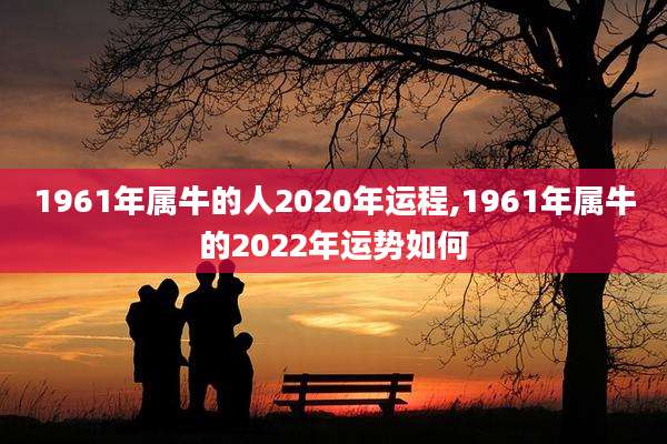 1961年属牛的人2020年运程,1961年属牛的2022年运势如何