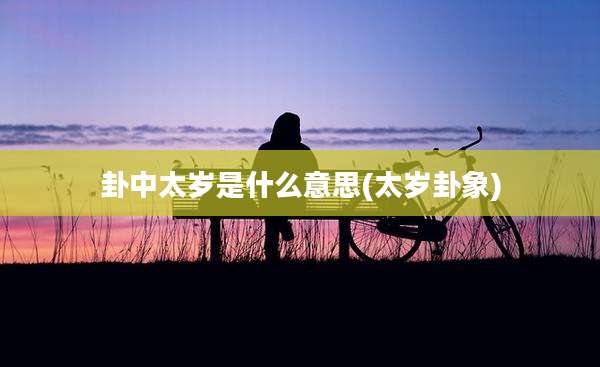 卦中太岁是什么意思(太岁卦象)