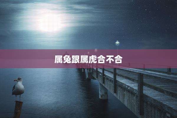 属兔跟属虎合不合