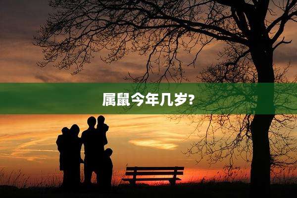 属鼠今年几岁?