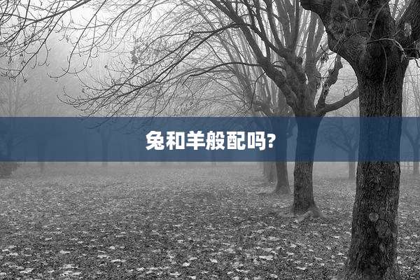 兔和羊般配吗?