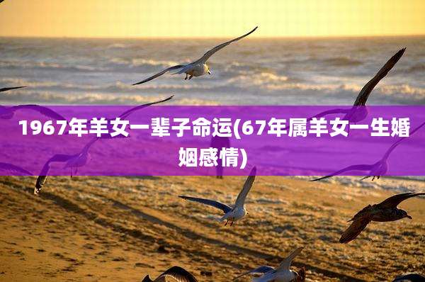1967年羊女一辈子命运(67年属羊女一生婚姻感情)
