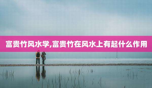 富贵竹风水学,富贵竹在风水上有起什么作用