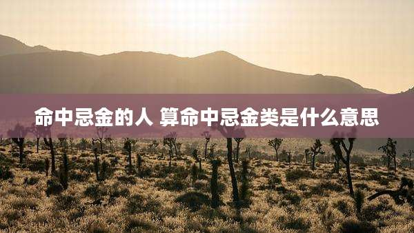 命中忌金的人 算命中忌金类是什么意思