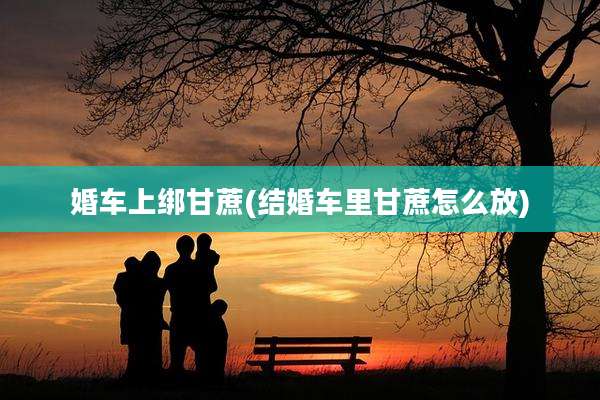 婚车上绑甘蔗(结婚车里甘蔗怎么放)