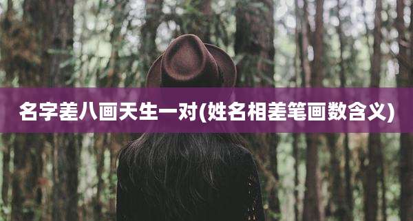 名字差八画天生一对(姓名相差笔画数含义)