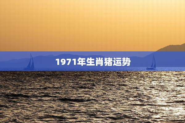 1971年生肖猪运势