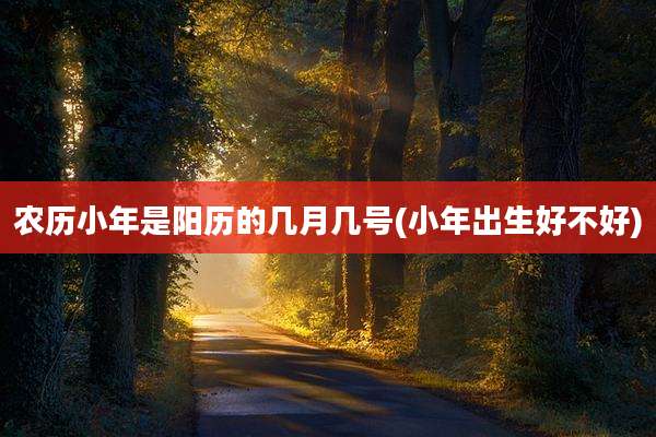 农历小年是阳历的几月几号(小年出生好不好)