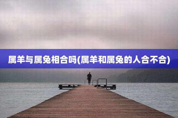 属羊与属兔相合吗(属羊和属兔的人合不合)