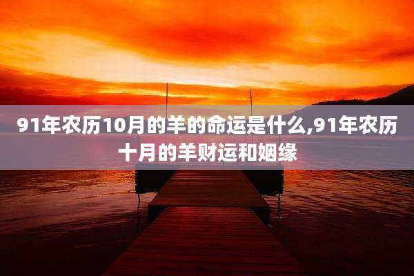 91年农历10月的羊的命运是什么,91年农历十月的羊财运和姻缘