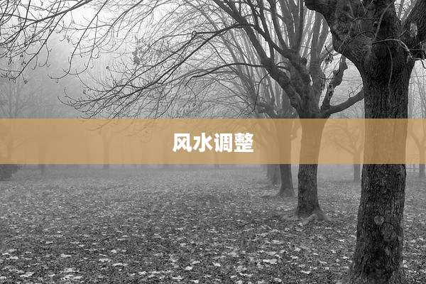 风水调整