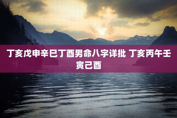 丁亥戊申辛巳丁酉男命八字详批 丁亥丙午壬寅己酉