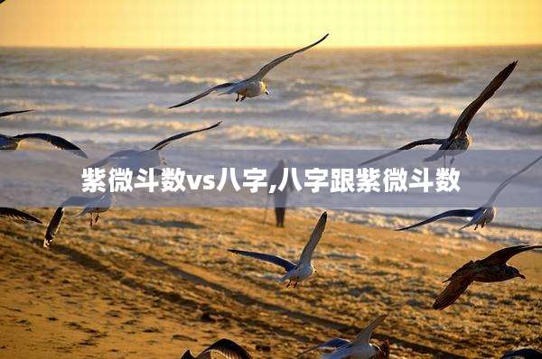 紫微斗数vs八字,八字跟紫微斗数