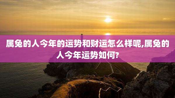 属兔的人今年的运势和财运怎么样呢,属兔的人今年运势如何?