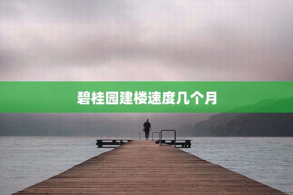 碧桂园建楼速度几个月