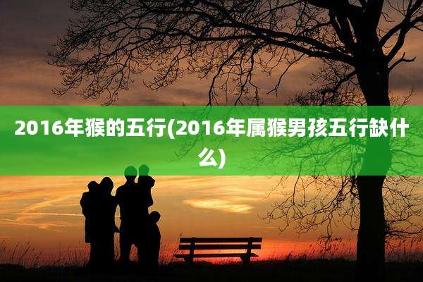 2016年猴的五行(2016年属猴男孩五行缺什么)