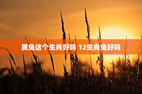 属兔这个生肖好吗 12生肖兔好吗