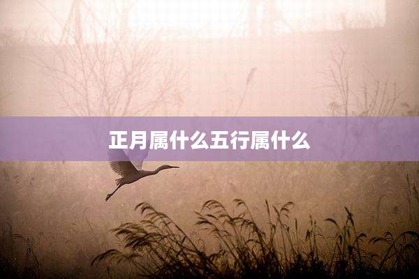 正月属什么五行属什么