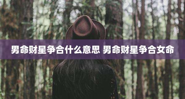 男命财星争合什么意思 男命财星争合女命