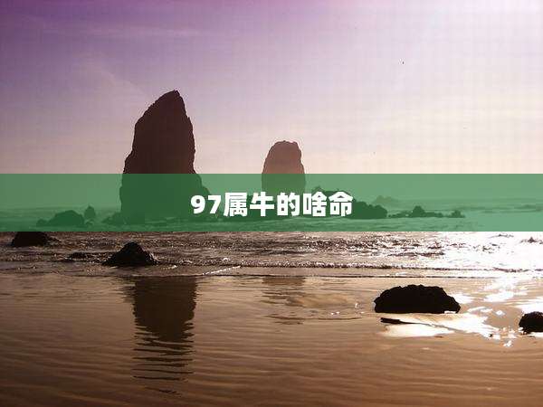 97属牛的啥命