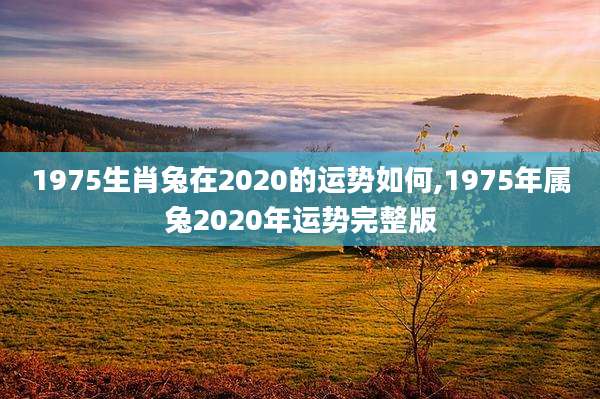 1975生肖兔在2020的运势如何,1975年属兔2020年运势完整版