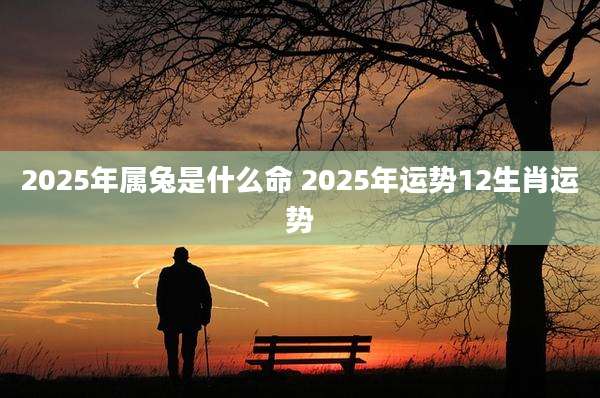 2025年属兔是什么命 2025年运势12生肖运势