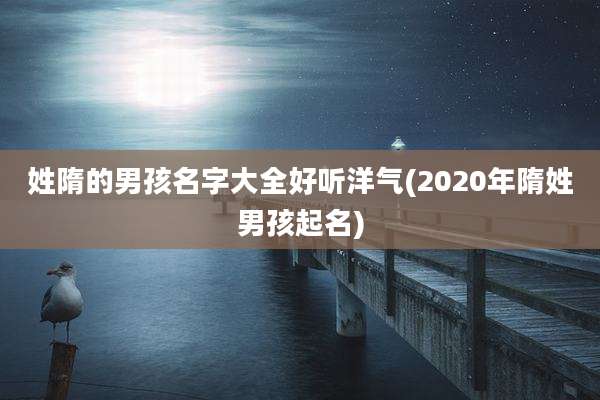 姓隋的男孩名字大全好听洋气(2020年隋姓男孩起名)
