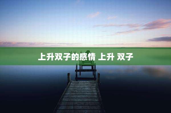 上升双子的感情 上升 双子