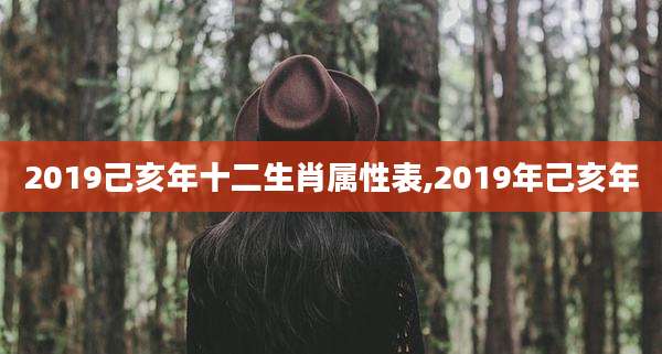 2019己亥年十二生肖属性表,2019年己亥年