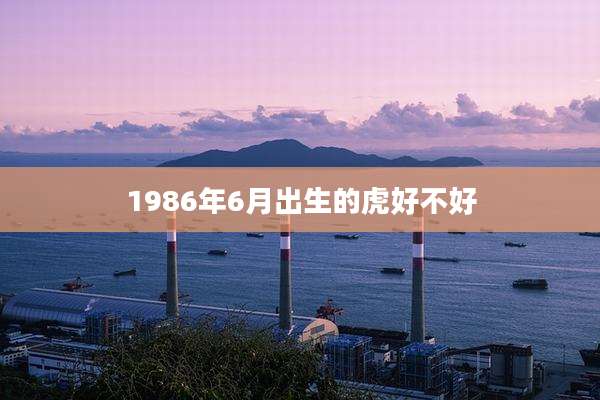 1986年6月出生的虎好不好