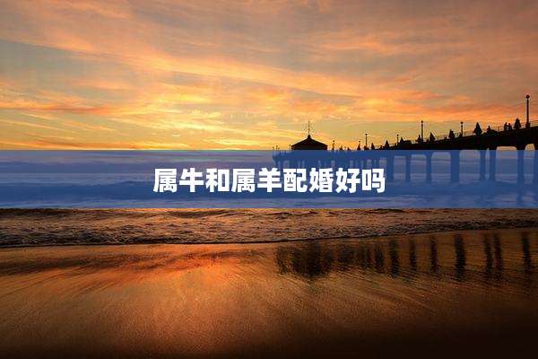 属牛和属羊配婚好吗